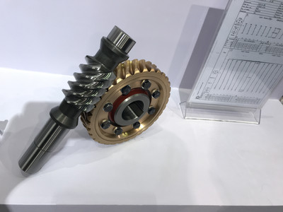 1多头蜗杆_副本